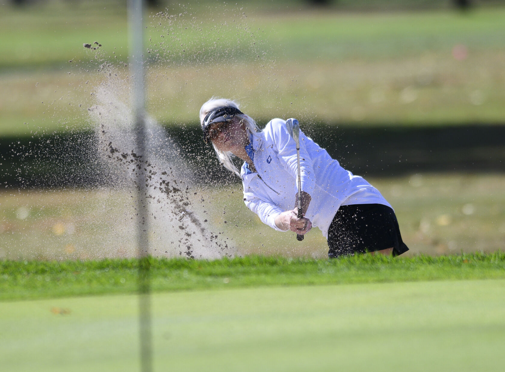 Class 2A Champaign Sectional tournament